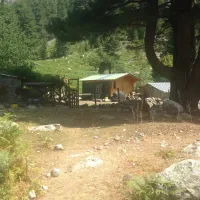 camping-aire-naturelle-la-ferme-de-peridundellu-venaco-fbku3