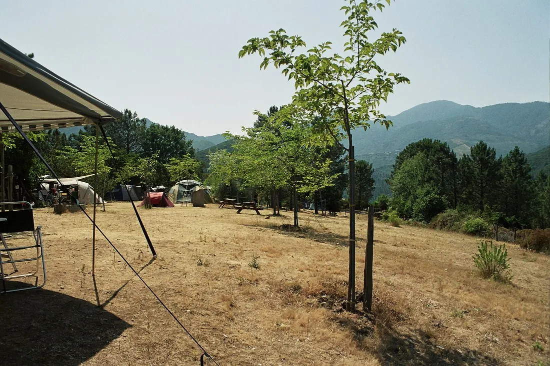 camping-aire-naturelle-la-ferme-de-peridundellu-venaco-mm8aw