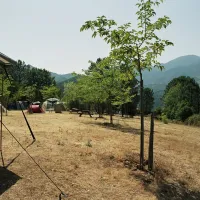 camping-aire-naturelle-la-ferme-de-peridundellu-venaco-mm8aw