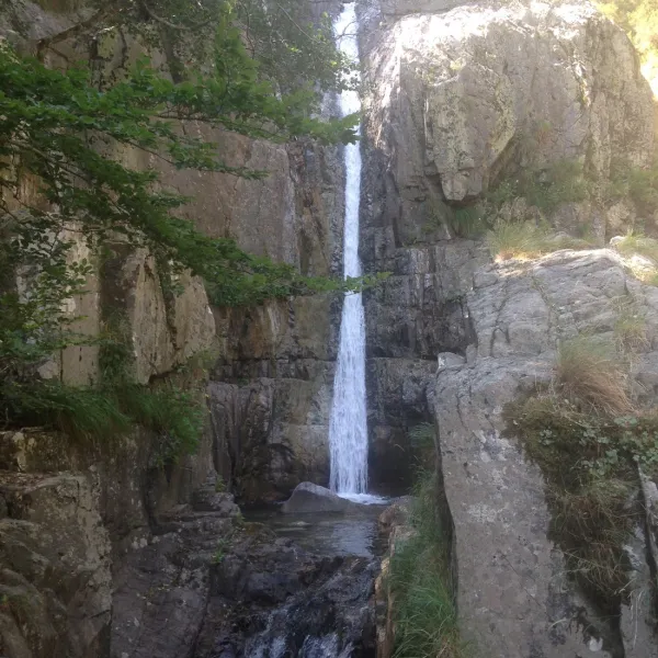 camping-aire-naturelle-la-ferme-de-peridundellu-venaco-ve2ry