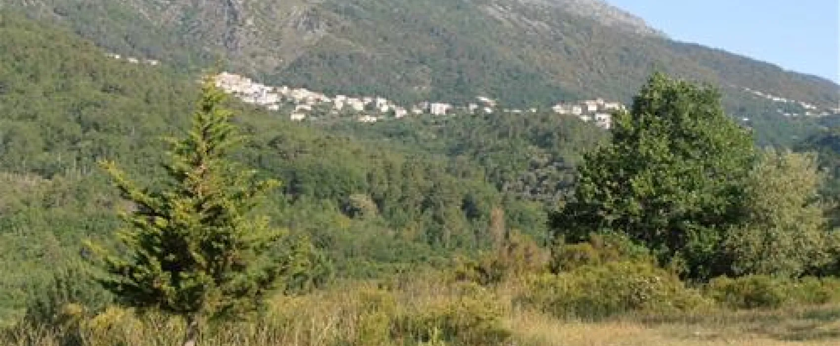 camping aire naturelle la ferme de Peridundellu