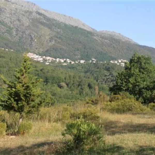 camping-aire-naturelle-la-ferme-de-peridundellu-venaco-xygme