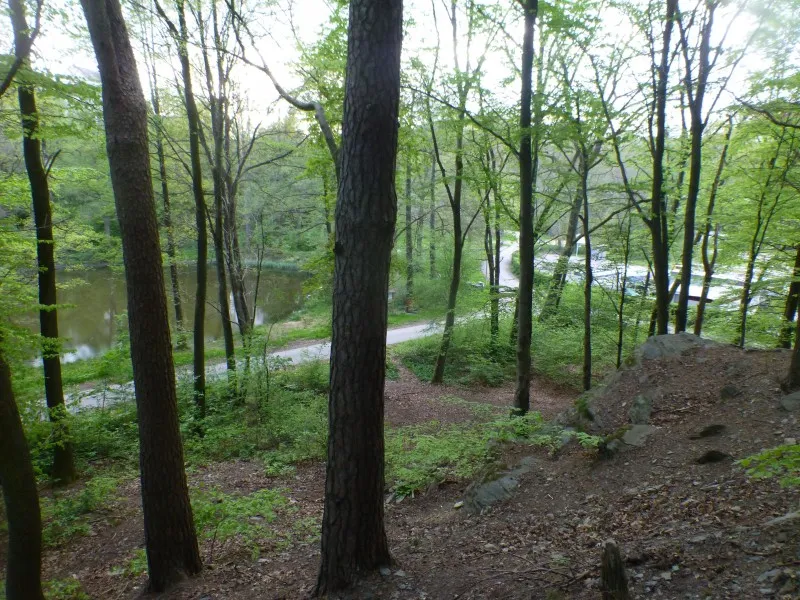 camping-de-la-salm-vielsalm-lmxge