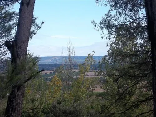 camping-das-pinhiers-villemoustaussou-gdnce