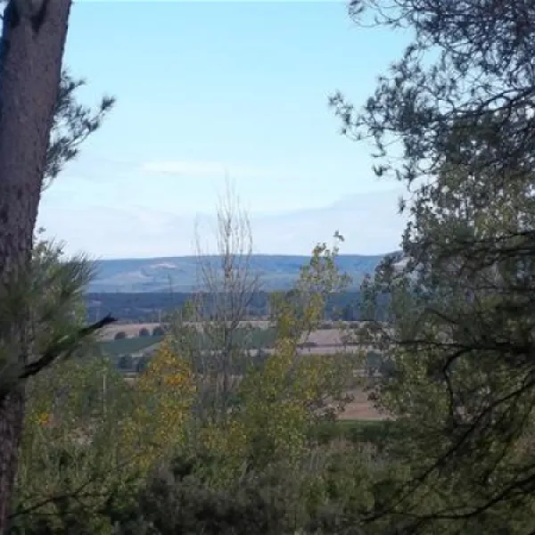 camping-das-pinhiers-villemoustaussou-gdnce