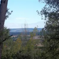 camping-das-pinhiers-villemoustaussou-gdnce