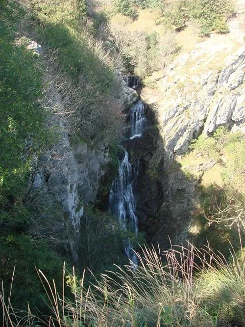 camping-das-pinhiers-villemoustaussou-jpo0n
