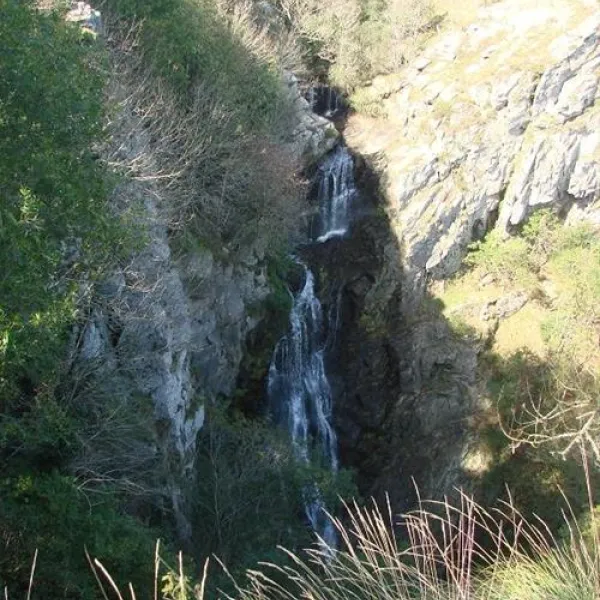 camping-das-pinhiers-villemoustaussou-jpo0n