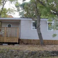camping-das-pinhiers-villemoustaussou-jq82k