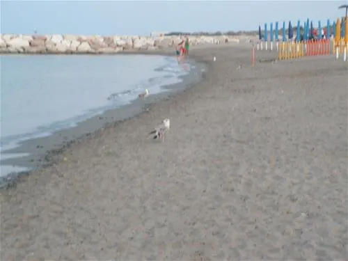campeggio-paradiso-sottomarina-virqg