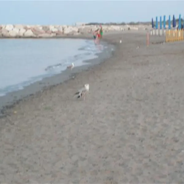 campeggio-paradiso-sottomarina-virqg