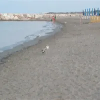 campeggio-paradiso-sottomarina-virqg
