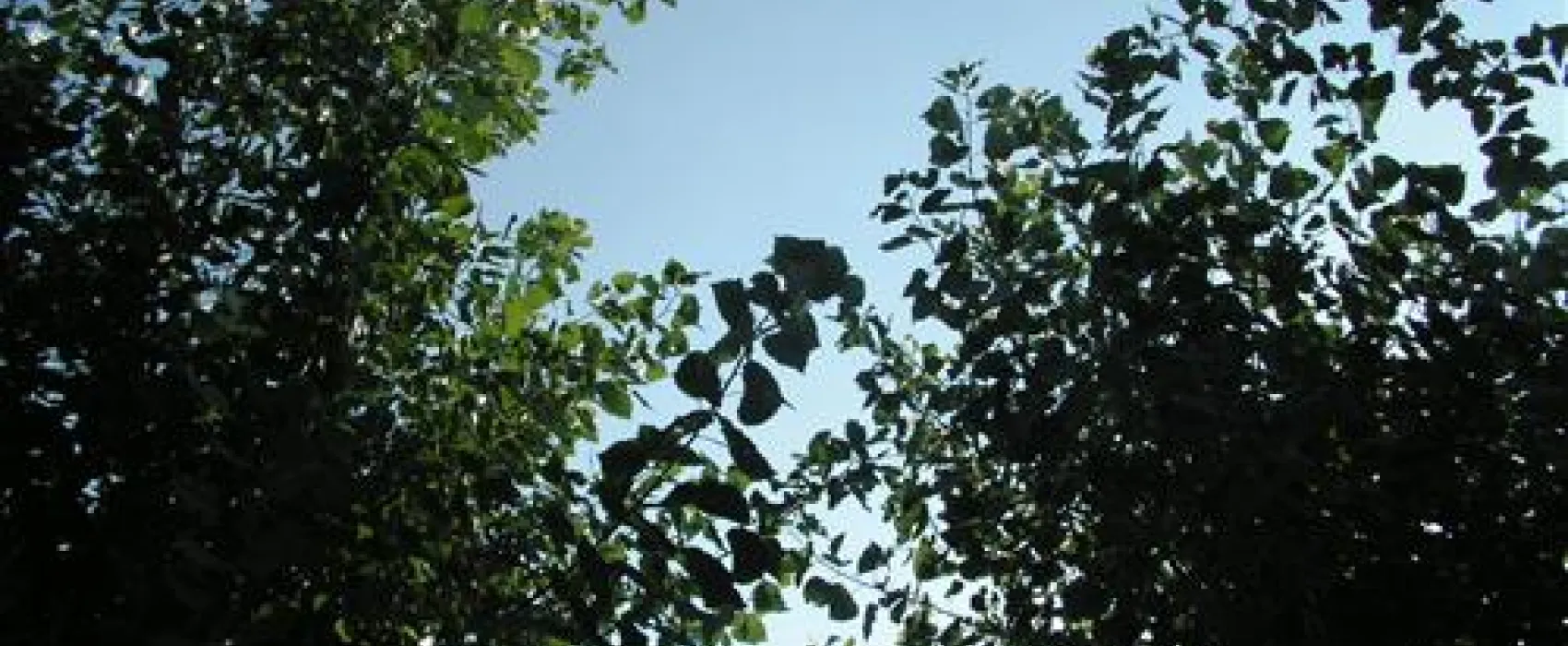 Campeggio Paradiso