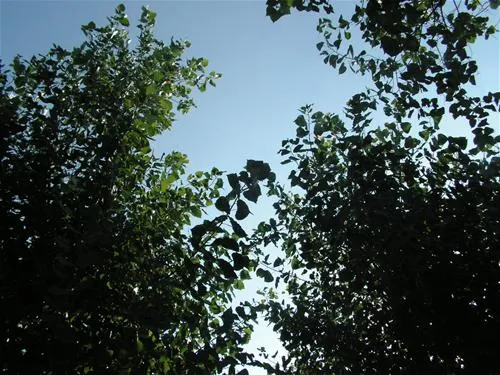 campeggio-paradiso-sottomarina-xaea4