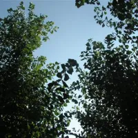 campeggio-paradiso-sottomarina-xaea4