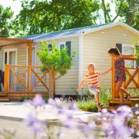 camping-le-dauphin-argeles-sur-mer-yvuid