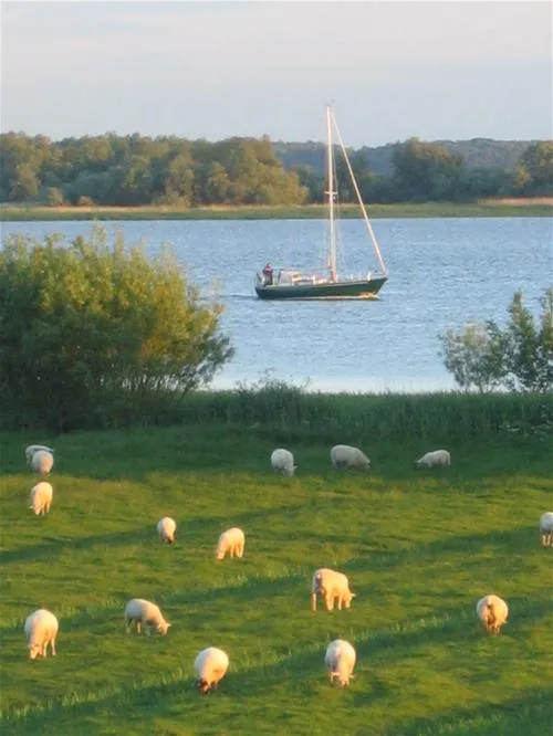 elbdeich-camping-kollmar-kollmar-bei-elmshorn-7tcac