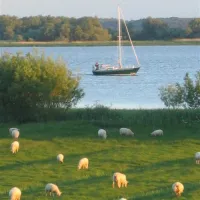 elbdeich-camping-kollmar-kollmar-bei-elmshorn-7tcac