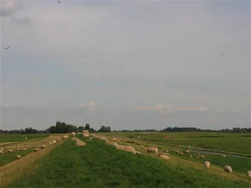 elbdeich-camping-kollmar-kollmar-bei-elmshorn-dnyzd