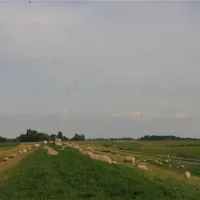 elbdeich-camping-kollmar-kollmar-bei-elmshorn-dnyzd