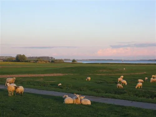 elbdeich-camping-kollmar-kollmar-bei-elmshorn-egfwx