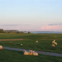 elbdeich-camping-kollmar-kollmar-bei-elmshorn-egfwx