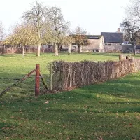 Camping De Wolfsberg