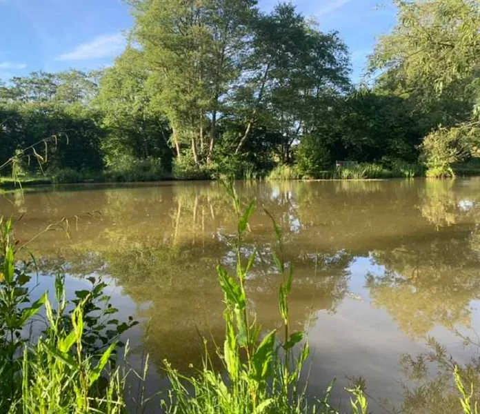 honeys-green-caravan-park-uckfield-c4c4w