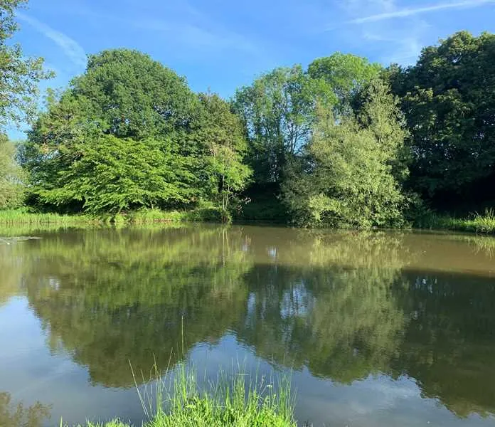 honeys-green-caravan-park-uckfield-dmasn