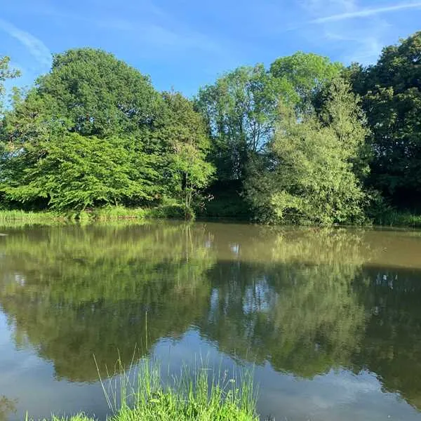 honeys-green-caravan-park-uckfield-dmasn