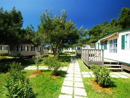 camping-stupice-premantura-7ts7p