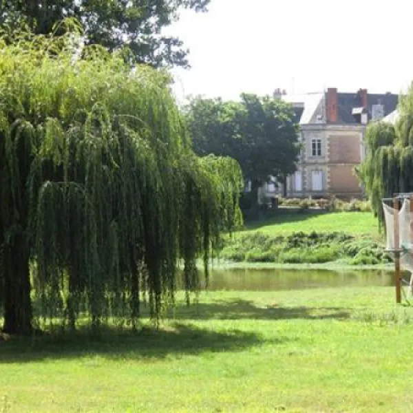 les-plages-de-loire-rochefortsurloire-tlzkn