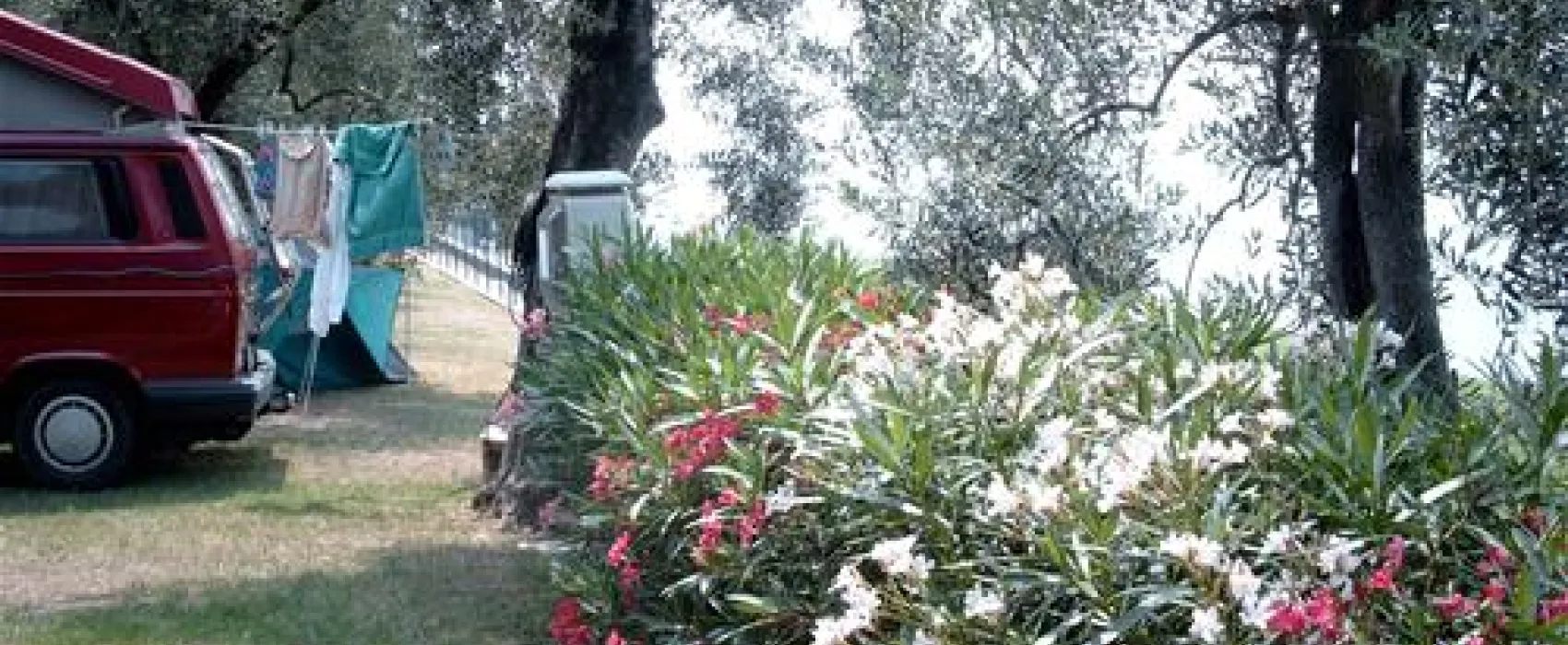 Camping Tonini