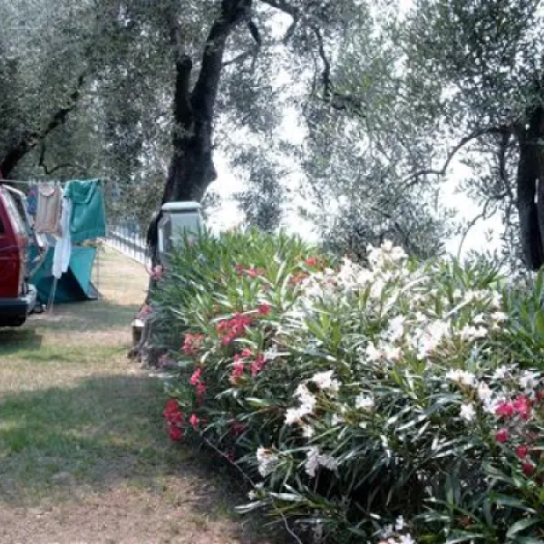 camping-tonini-malcsine-zpmuz
