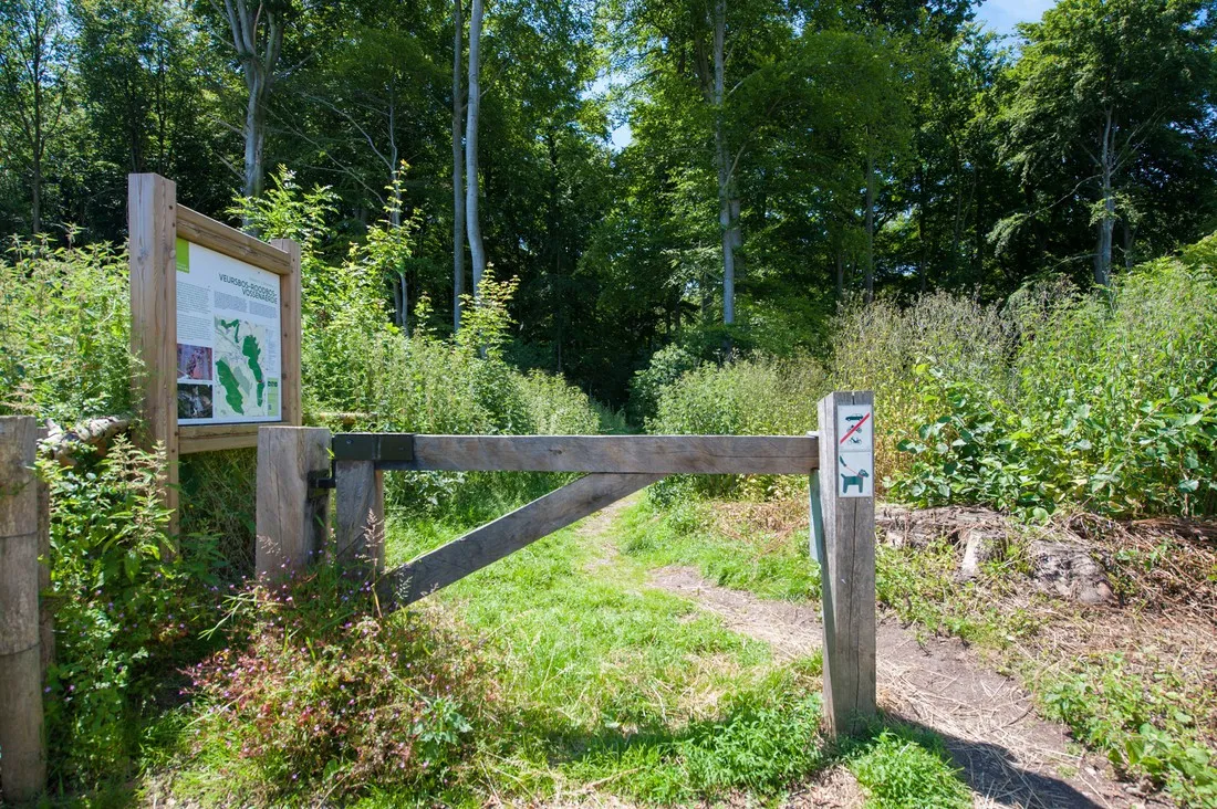 camping-natuurlijk-limburg-remersdaalvoeren-kd1nw