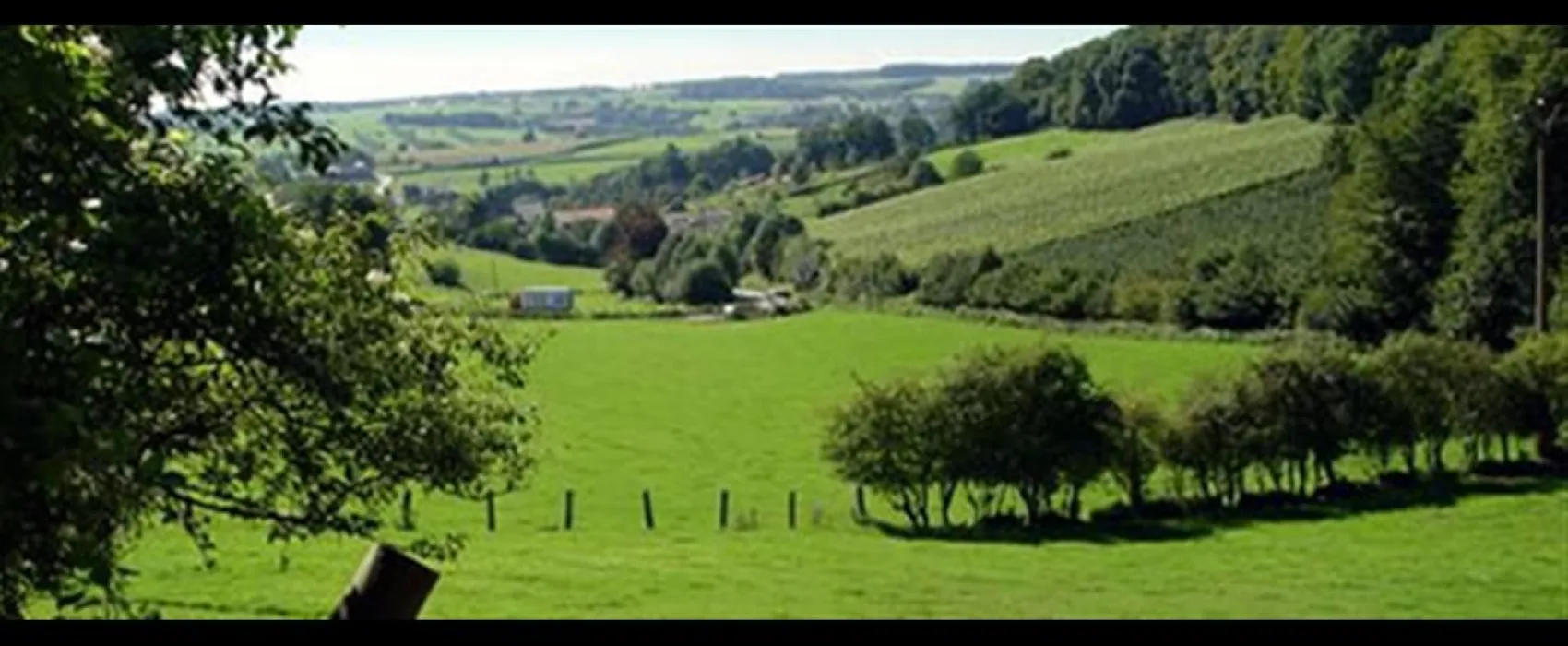 Camping Natuurlijk Limburg