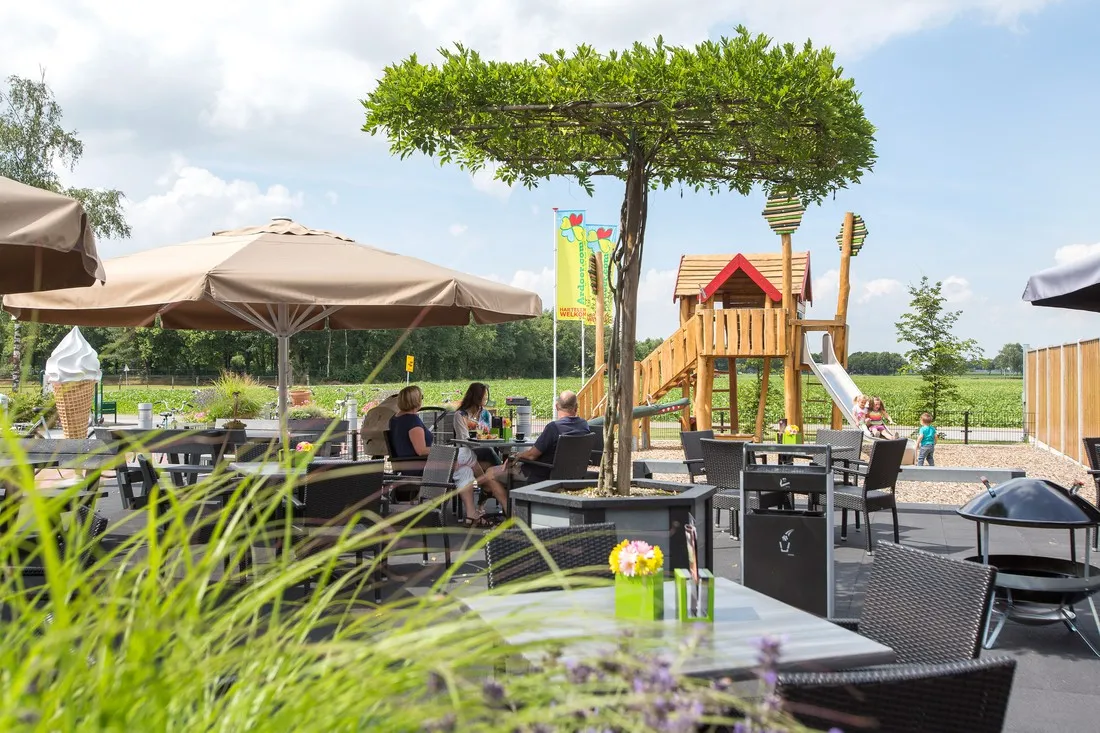 t-rheezerwold-hardenberg-0rdi5