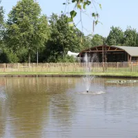 t-rheezerwold-hardenberg-z2pjx
