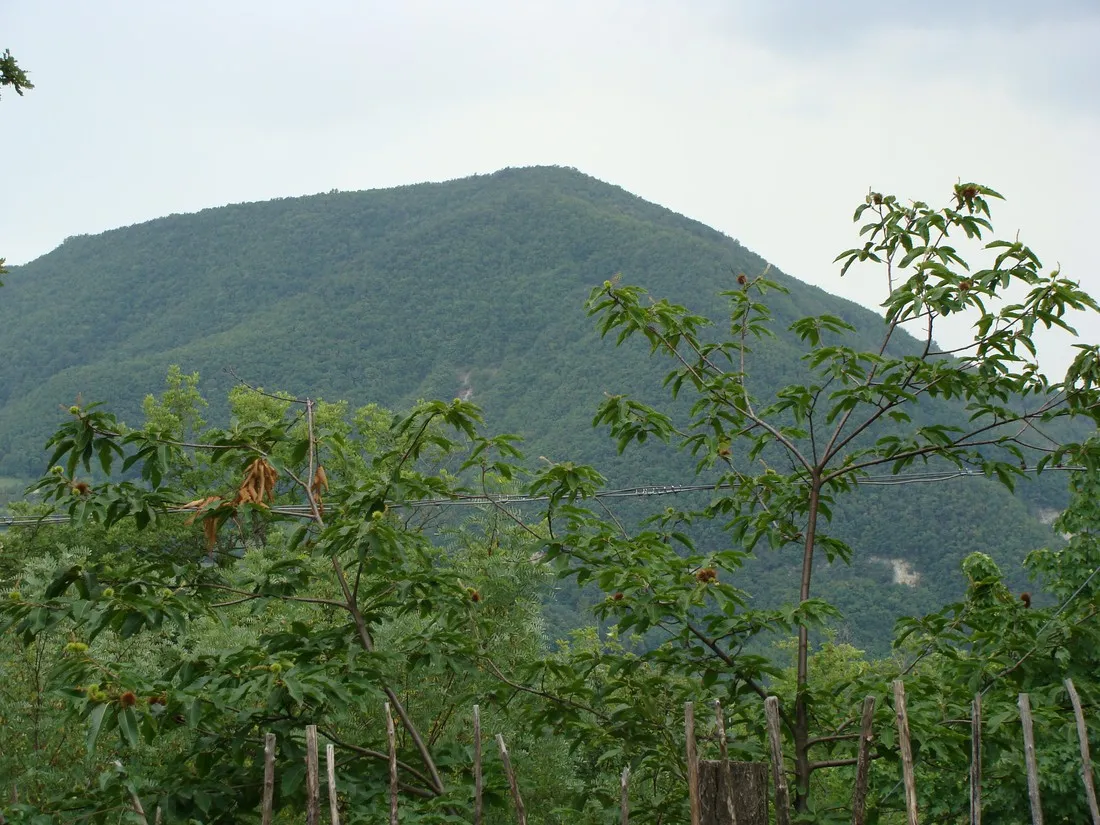 ca-le-scope-marzabotto-25omi