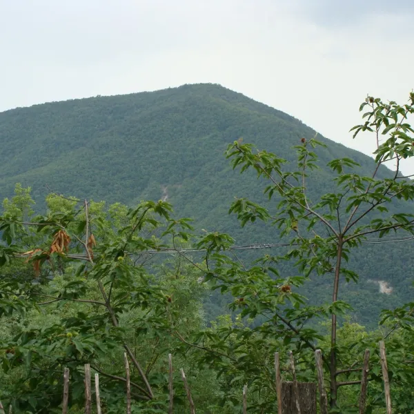 ca-le-scope-marzabotto-25omi