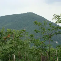 ca-le-scope-marzabotto-25omi