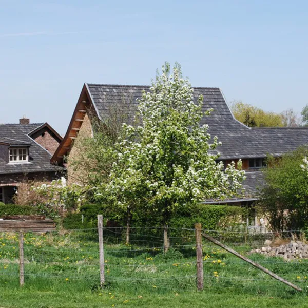groepsaccommodaties-de-vinkenhof-gulpen-ul32v