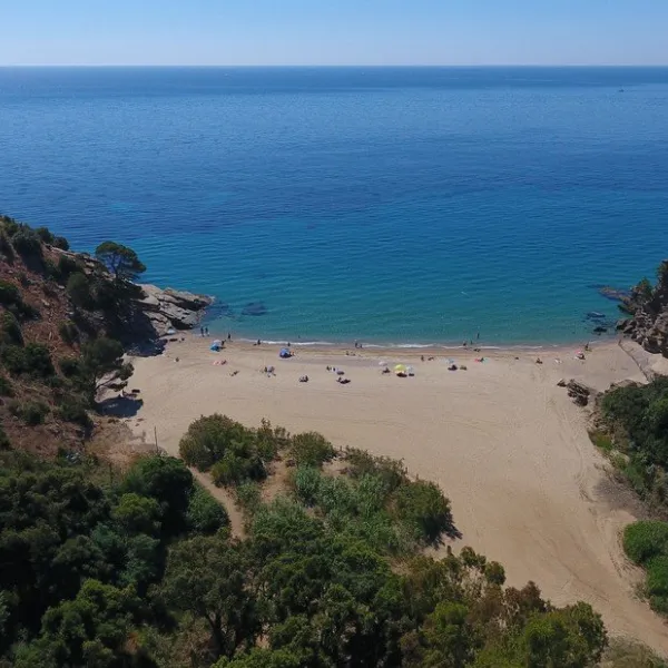 bonporteau-cavalaire-sur-mer-amime