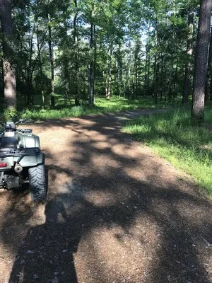 turkey-trot-hunter-camp-homer-0h4g4
