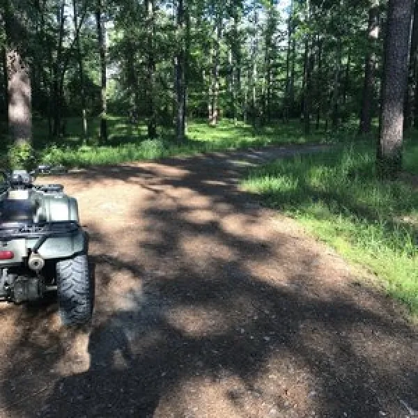 turkey-trot-hunter-camp-homer-0h4g4