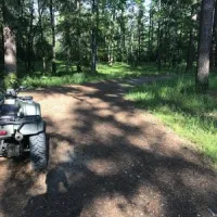 turkey-trot-hunter-camp-homer-0h4g4