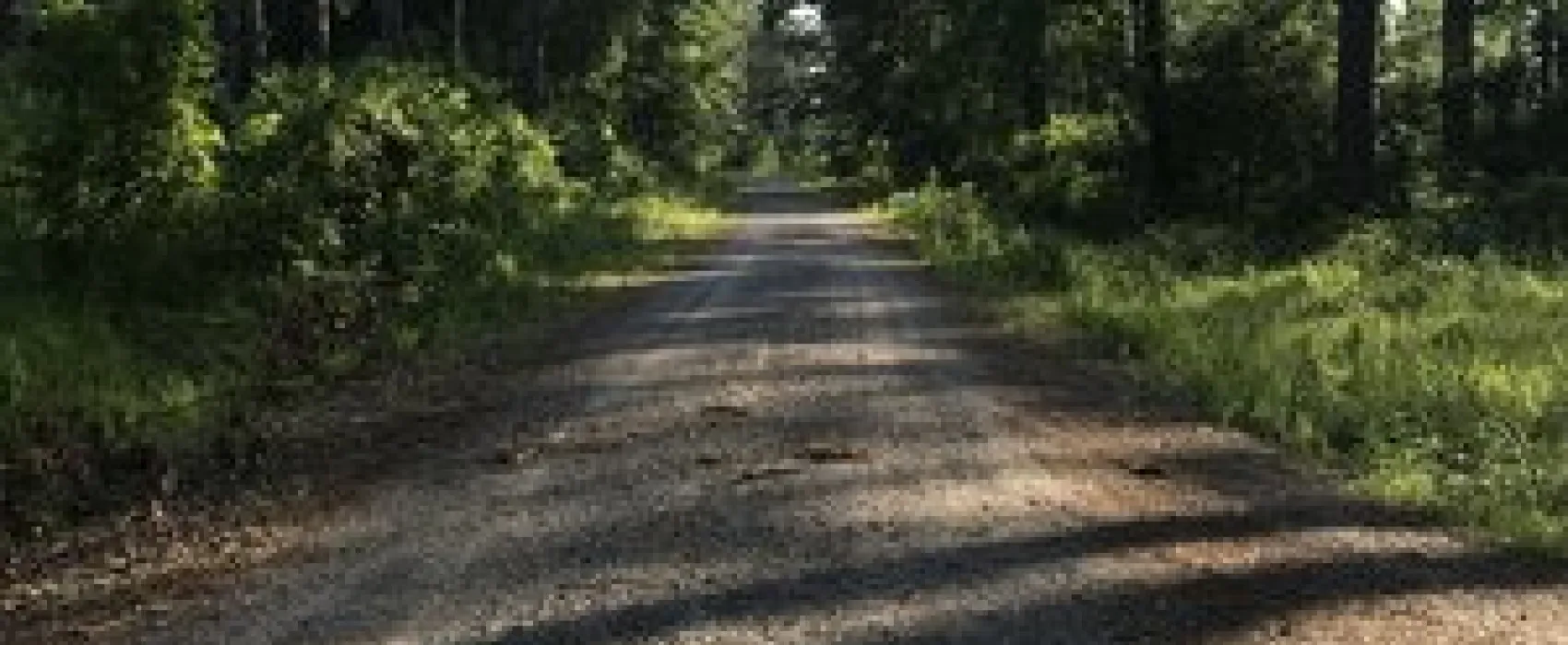 Turkey Trot Hunter Camp