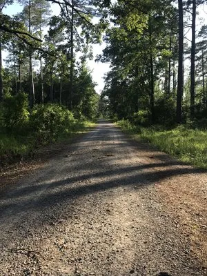 turkey-trot-hunter-camp-homer-cjskf