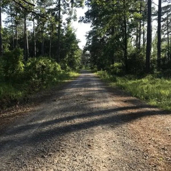 Turkey Trot Hunter Camp