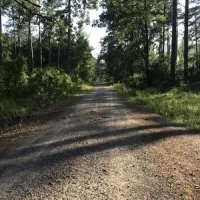 Turkey Trot Hunter Camp